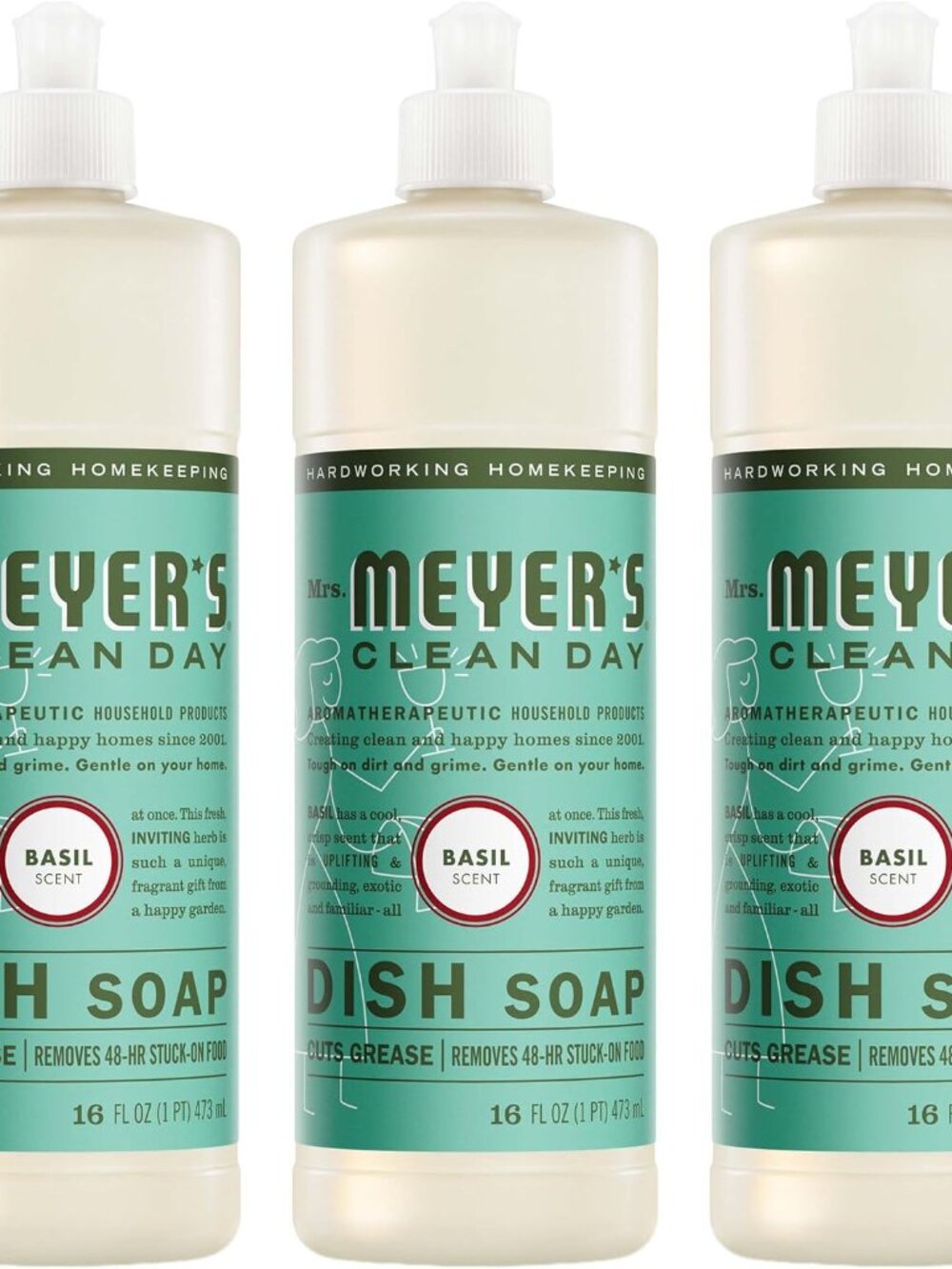 CLEAN DAY Liquid Dish Soap, Basil, 16 fl oz, 3 Pack